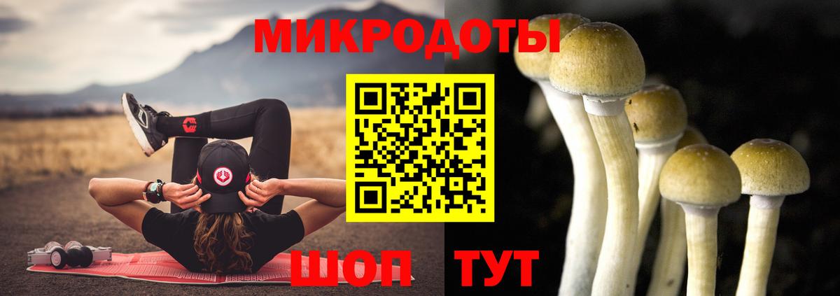 Курганинск  Псилоцибиновые грибы Magic Shrooms  Вход с VPN 